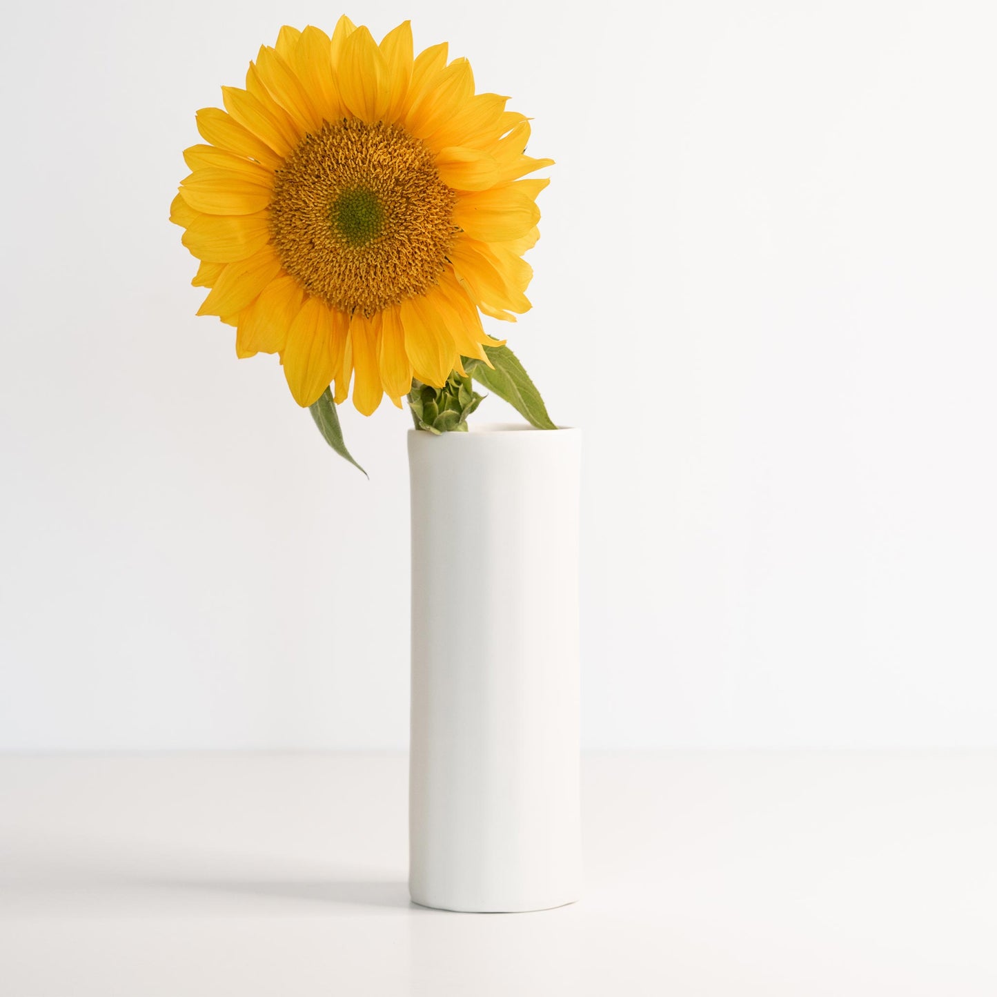 Bloom Vase styled with fresh white tulips on minimalist console table